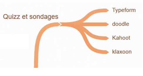 quizz et sondage