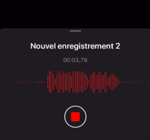 prise de son