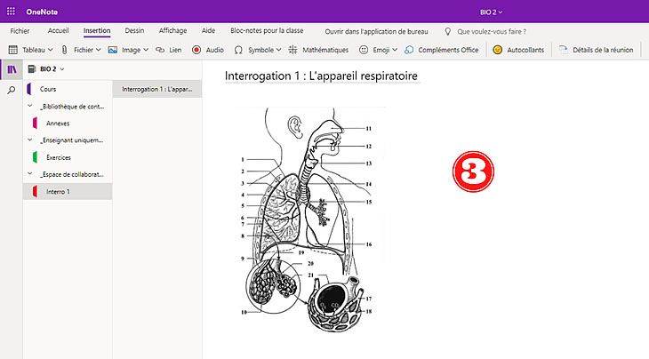 image ajoutee au bloc note OneNote