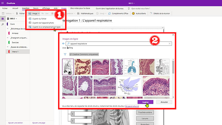 import image moteur de recherche One Note